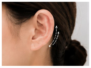 Auricle Above the Earlobe